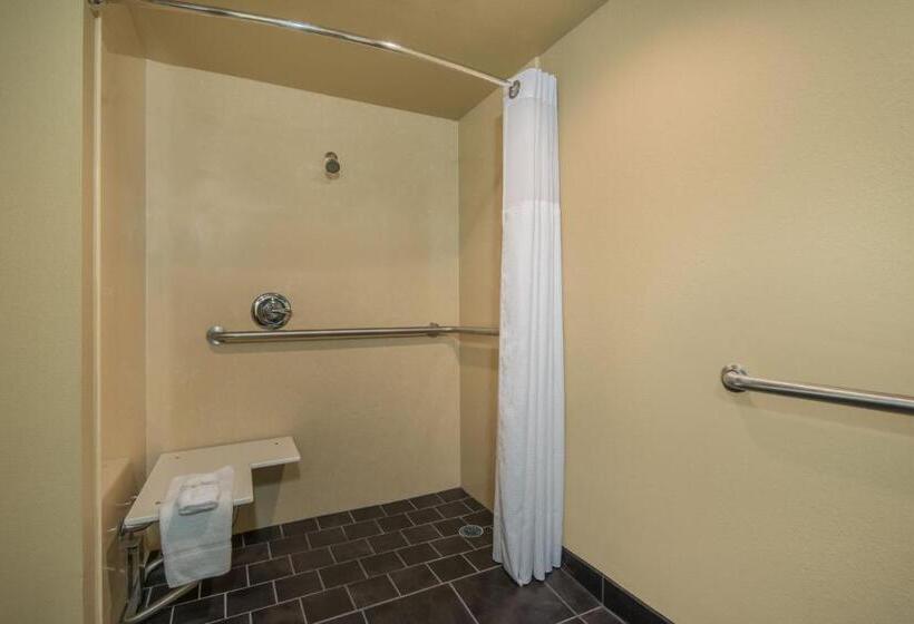Номер Стандарт Адаптированный для Инвалидов, Wyndham Garden Texarkana