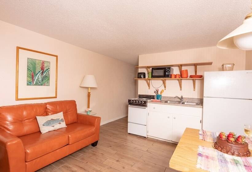 جناح, Steinhatchee River Inn And Marina