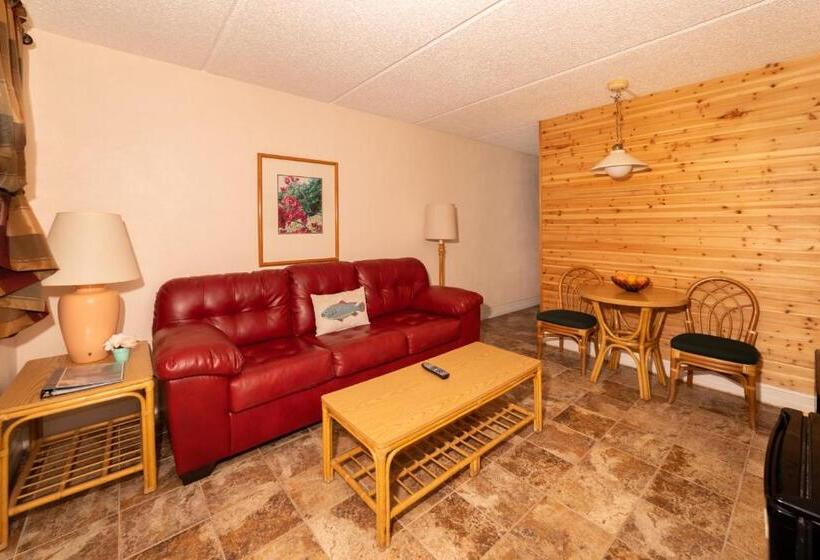 جناح, Steinhatchee River Inn And Marina