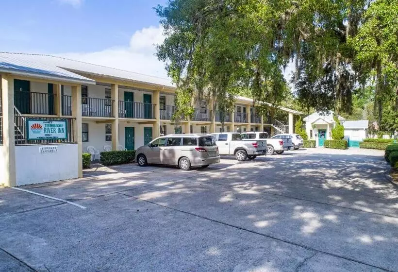 キングサイズベッドのスタンダードルーム, Steinhatchee River Inn And Marina
