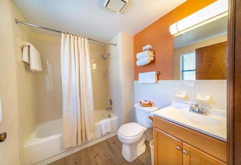 غرفة قياسية سرير كينج, Steinhatchee River Inn And Marina