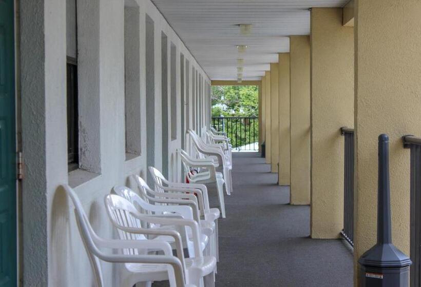 غرفة قياسية سرير كينج, Steinhatchee River Inn And Marina