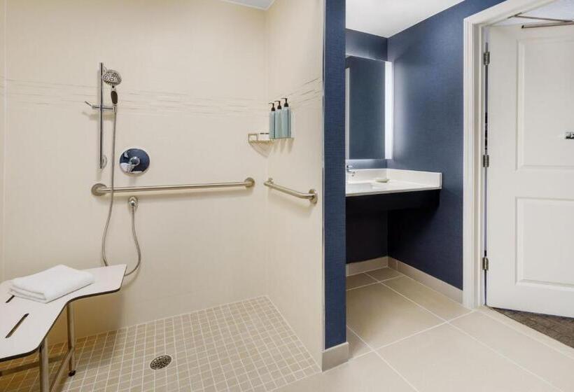 Люкс, Residence Inn Hartford Rocky Hill