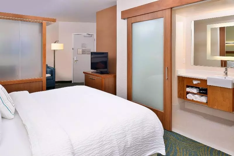 キングサイドベッドのスタンダードワンルーム, Springhill Suites By Marriott Voorhees Mt. Laurel/cherry Hill