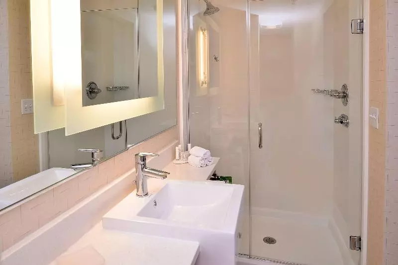 キングサイドベッドのスタンダードワンルーム, Springhill Suites By Marriott Voorhees Mt. Laurel/cherry Hill