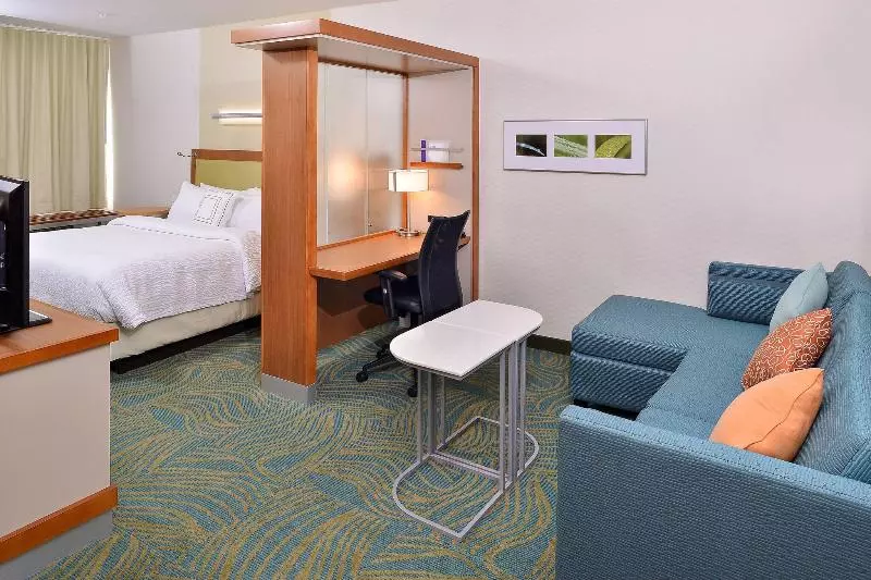 キングサイドベッドのスタンダードワンルーム, Springhill Suites By Marriott Voorhees Mt. Laurel/cherry Hill