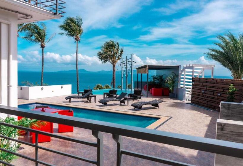 سوئیت با تخت بزرگ, Av Suites