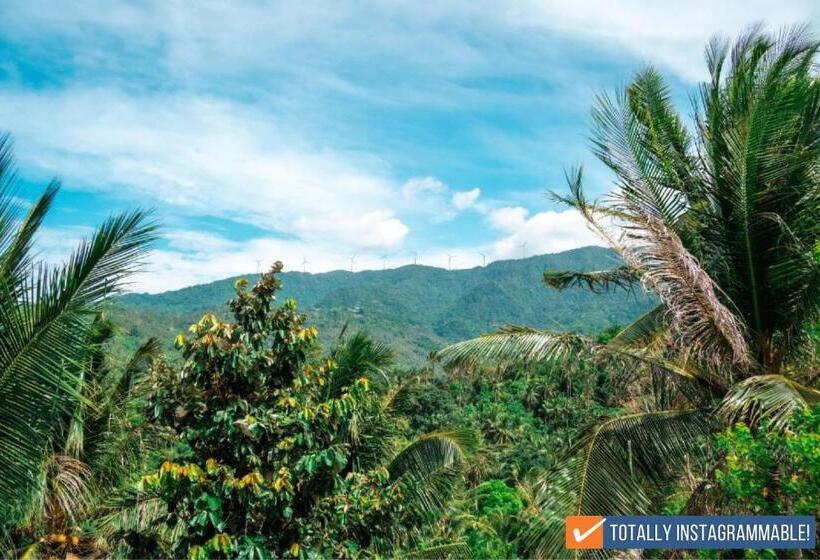 سوئیت با بالکن, Av Suites