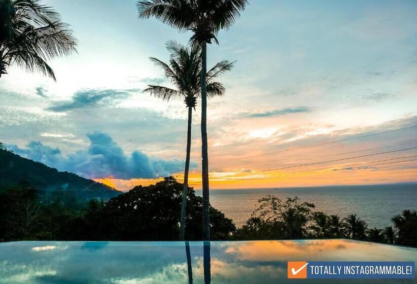 سوئیت با تخت بزرگ, Av Suites