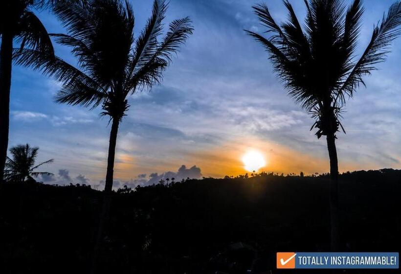 سوئیت با بالکن, Av Suites