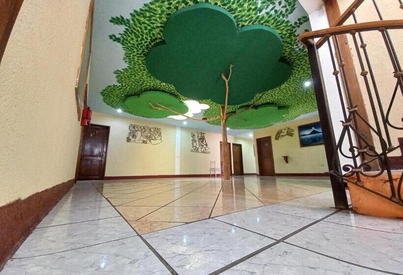 اتاق استاندارد, Nakbé Atitlán