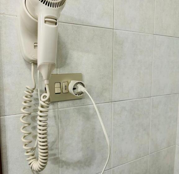 اتاق اکونومی, Il Magnifico Firenze