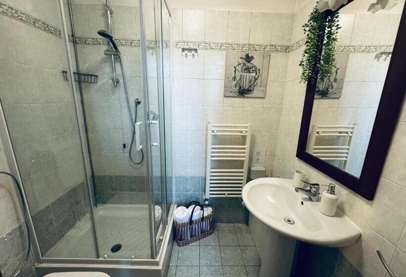 اتاق اکونومی, Il Magnifico Firenze