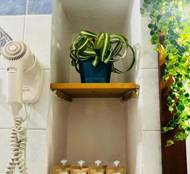 اتاق استاندارد سه نفره, Il Magnifico Firenze