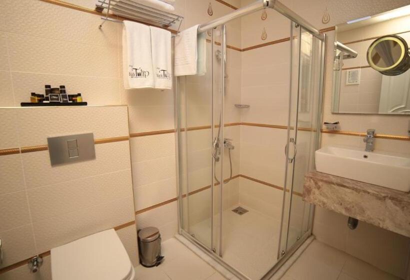 اتاق استاندارد, Black Tulip