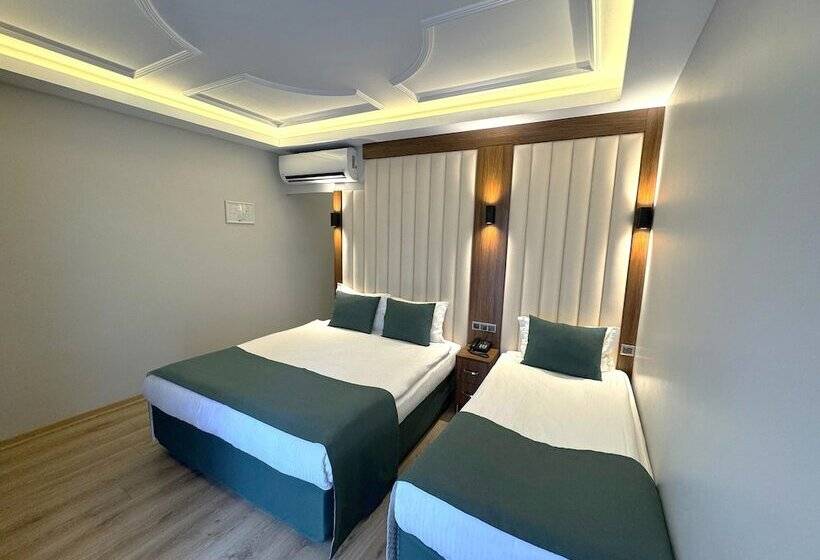 اتاق استاندارد سه نفره, Black Tulip