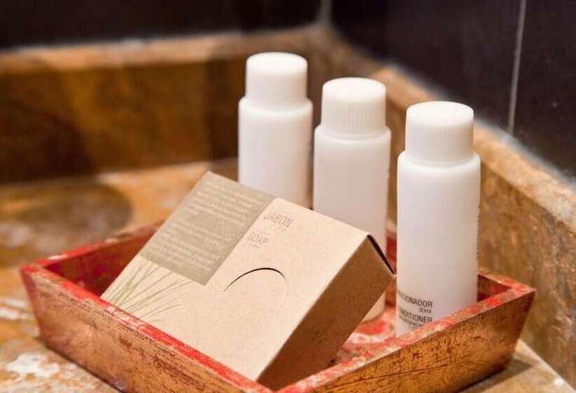 高级大房间, Mito Casa