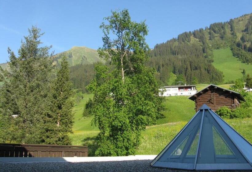 غرفة ديلوكس فردية, Riezler Hof