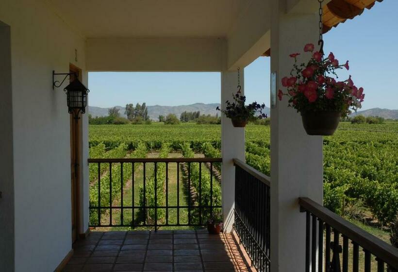 غرفة قياسية, Terraviña