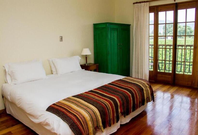 غرفة قياسية فردية, Terraviña