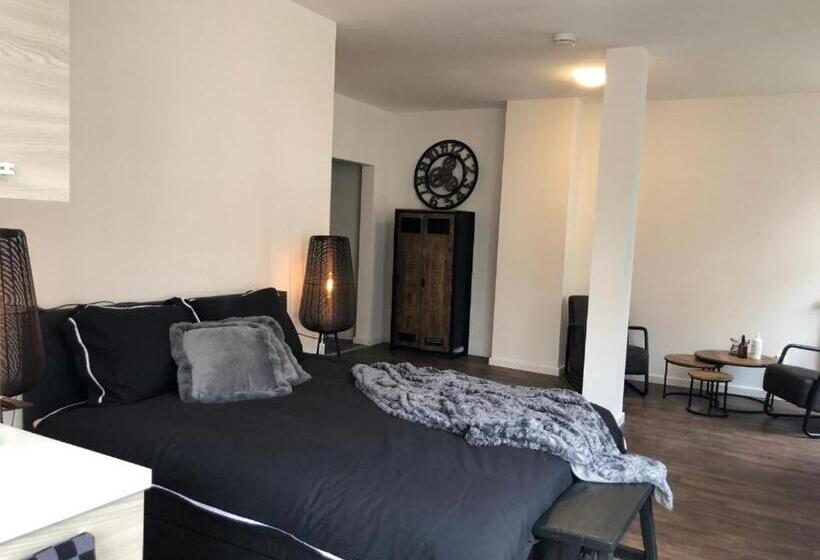 اتاق استاندارد با تخت بزرگ, Bnb Grand Café Prins Bernhard