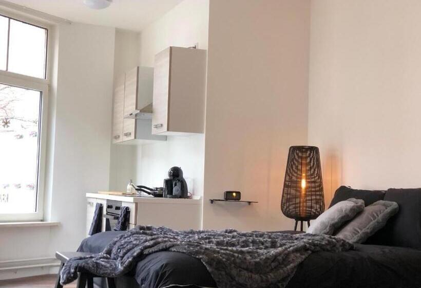 اتاق استاندارد با تخت بزرگ, Bnb Grand Café Prins Bernhard