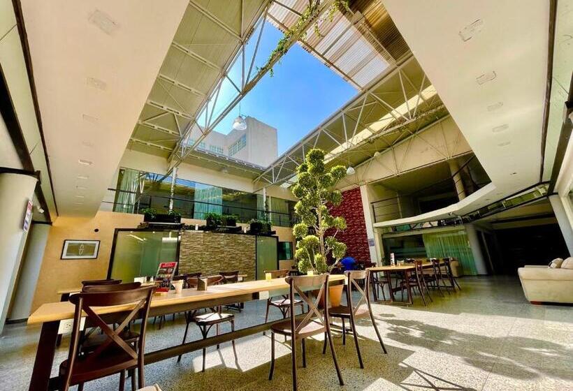 اتاق لوکس, Downtown Treasure Place