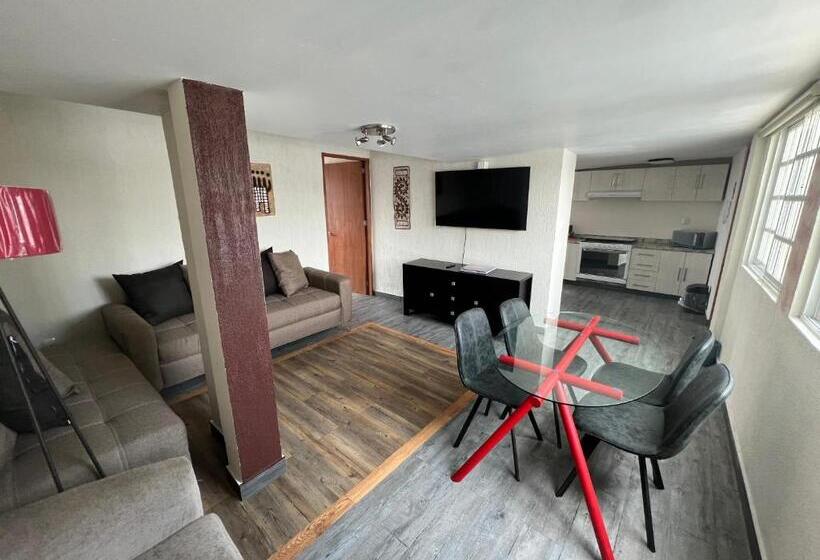 Апартаменты 1 Спальня с Террасой, Downtown Treasure Place