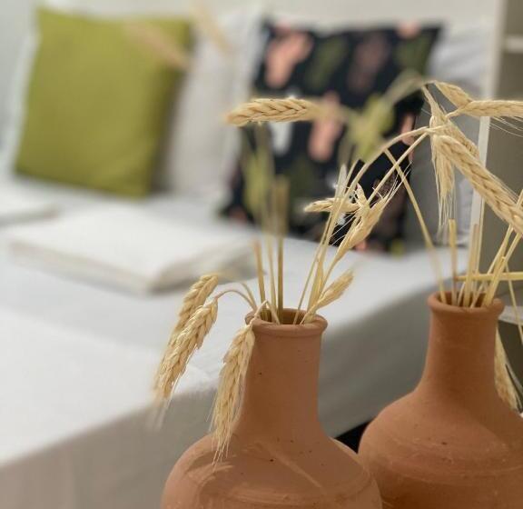 デラックスルーム, Pousada E Hostel Pernambucana