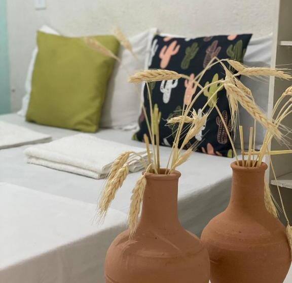 デラックスルーム, Pousada E Hostel Pernambucana
