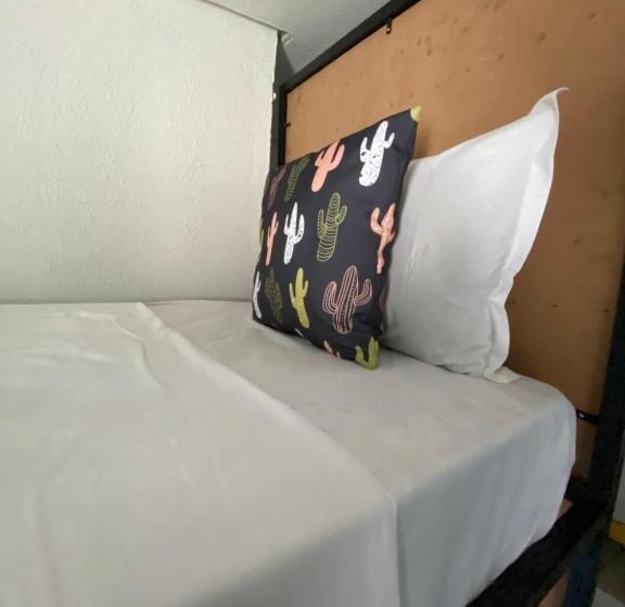 ルームシェアのワンベッド, Pousada E Hostel Pernambucana