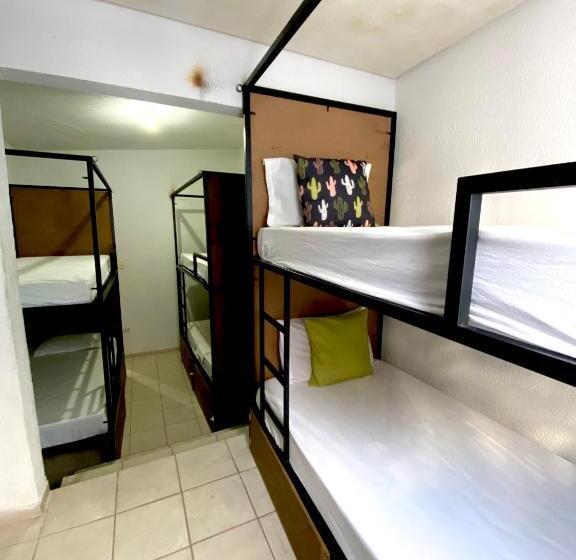 ルームシェアのワンベッド, Pousada E Hostel Pernambucana