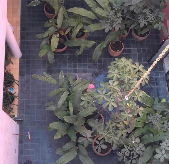 Apartamento Superior 1 Dormitório, Meson San Felipe