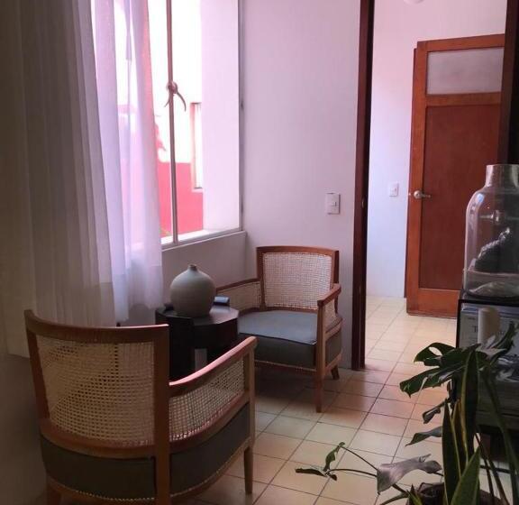 Apartamento Superior 1 Dormitório, Meson San Felipe