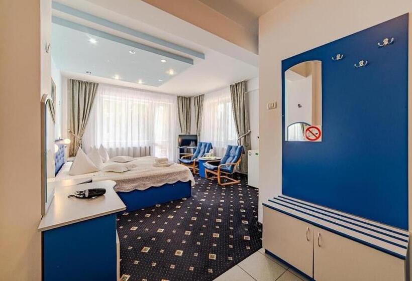 חדר סטנדרט, Pensiunea Turistica Andra