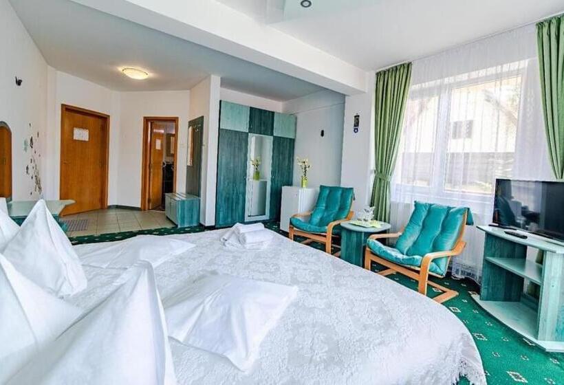 חדר סטנדרט, Pensiunea Turistica Andra