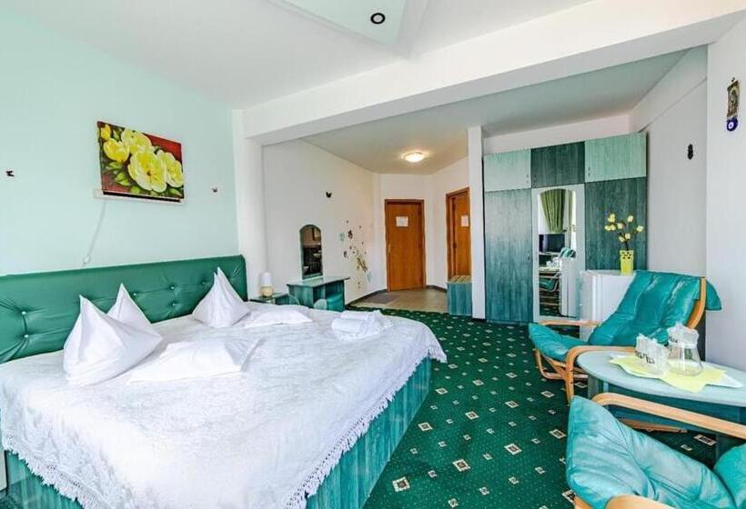 חדר סטנדרט, Pensiunea Turistica Andra