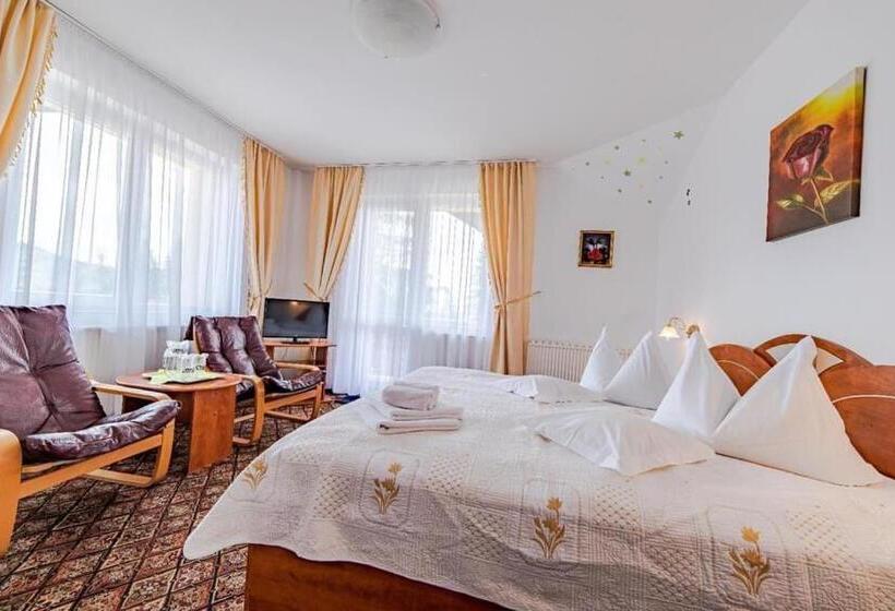 חדר סטנדרט, Pensiunea Turistica Andra