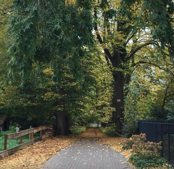 آپارتمان 1 خوابه, Apartment Marit