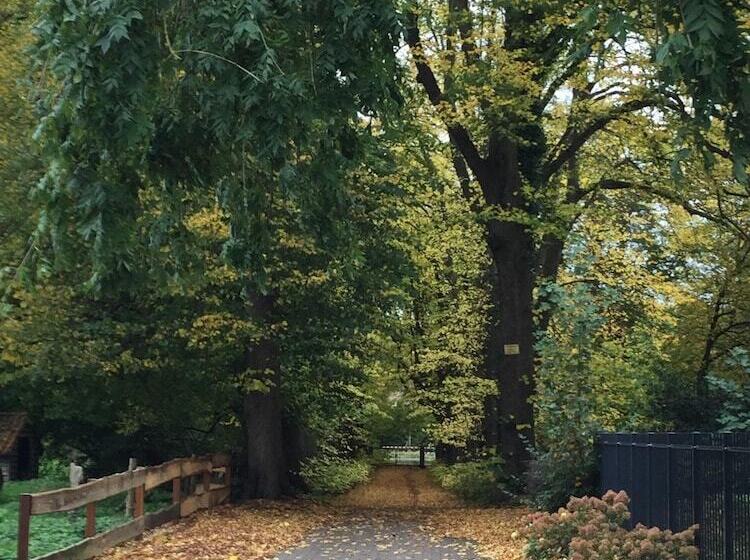 آپارتمان 1 خوابه, Apartment Marit