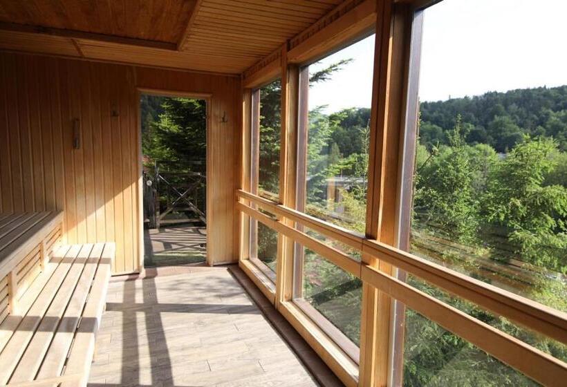 اتاق استاندارد با دسترسی به اسپا, Morva Premium Spa Resort