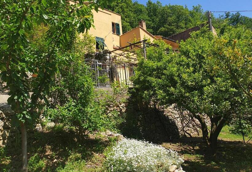 Quarto Estandar Vista Jardim, Agriturismo Alveare