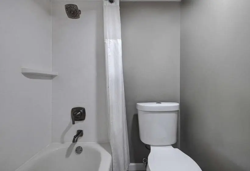 ４ベッドルームクラシックタイプ, Motel 6 Bonne Terre, Mo