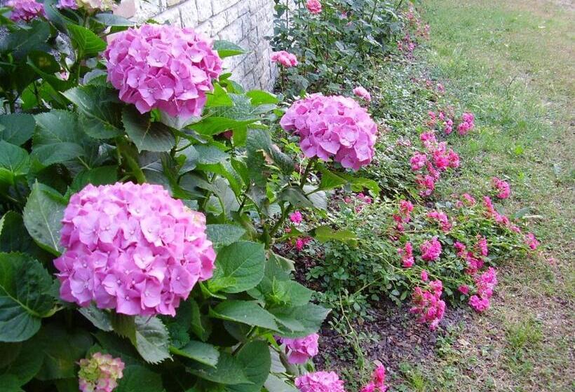 منزل غرفتين نوم, Agriturismo Dea