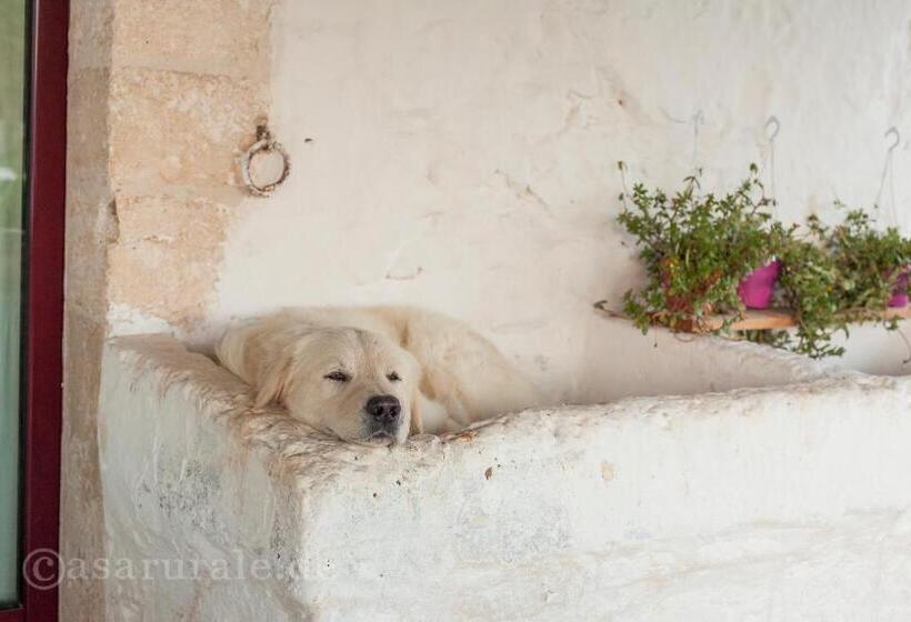 デラックスルーム, Masseria Ferri