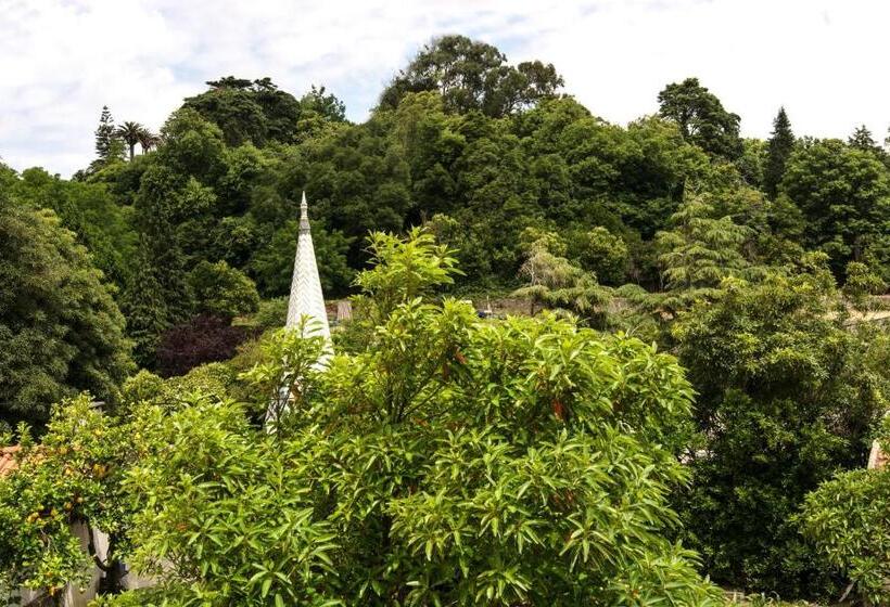 اتاق استاندارد چهار تخته, Sintra Small Hostel