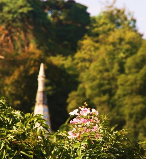 اتاق استاندارد چهار تخته, Sintra Small Hostel