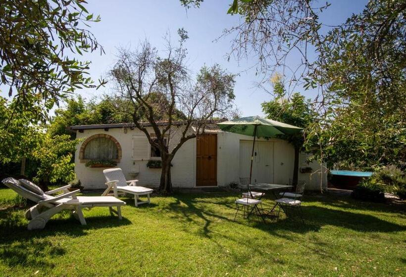 豪华房间, Trecentolivi B&b