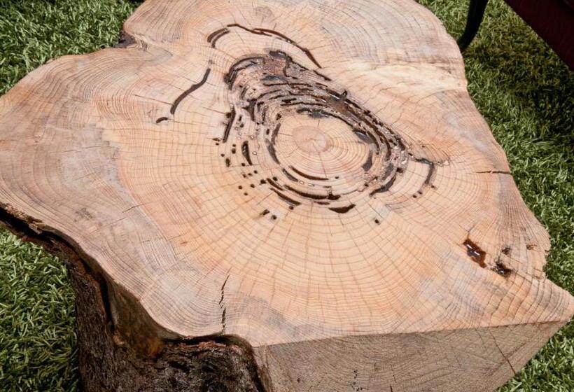 Полулюкс, Chez Swann