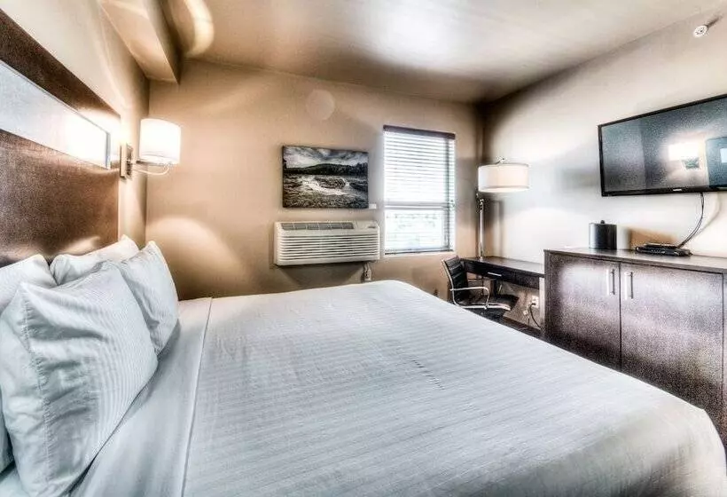キングサイズベッドのスタンダードルーム, Podollan Inn & Spa Grande Prairie